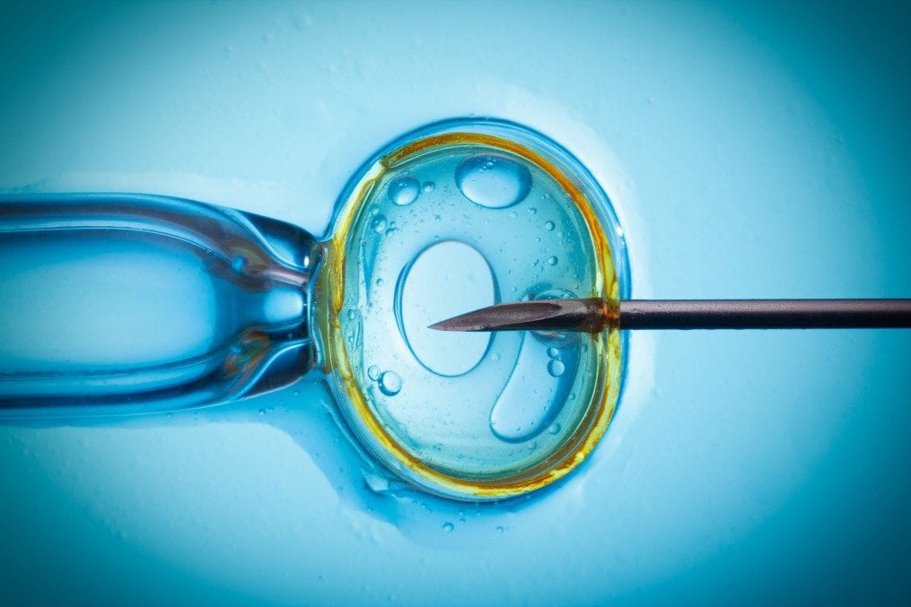 free_shutterstock_193564313.jpg IVF